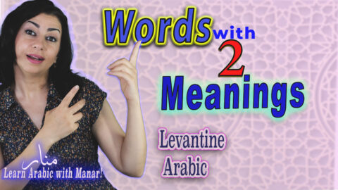 LAWM Words with Two Meanings Quick Lesson Review, Pt 1