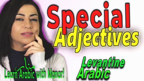 LAWM Special Adjectives 1 Anki Text Flashcards