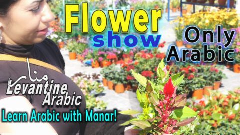 LAWM Flower Show Subtitles Anki Text Flashcards