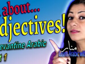 Adjectives 1&2: Anki Text Flashcards