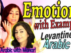 Emotions: Anki Text Flashcards