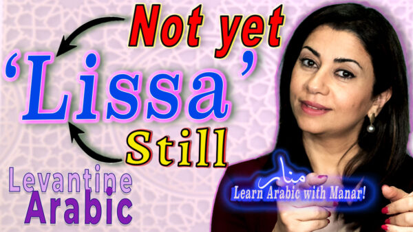 LAWM Lissa Not yet 1 Anki Text Flashcards