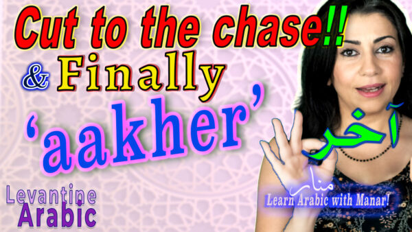 Aakher, Cut to the Chase: Anki Text Flashcards