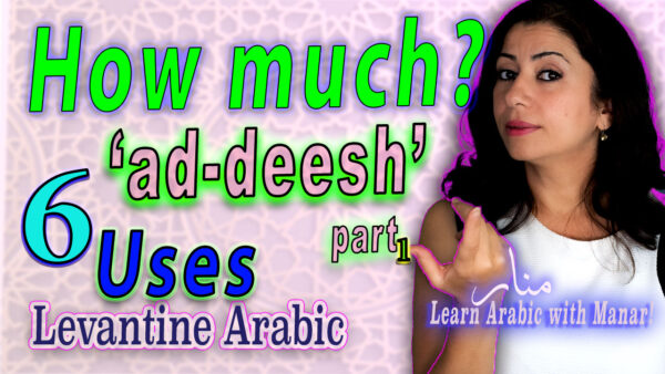 Adesh1 Quick Lesson Review