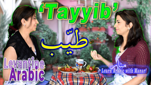 Tayyib Quick Lesson Review